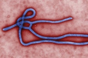 Ebola Virus