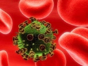 HIV Evolution