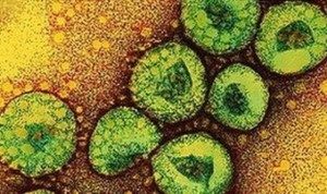 Emerging viruses